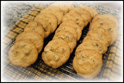 Chocolate Chip cookies 1