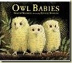 owlbabies
