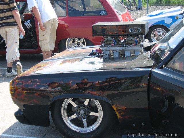 [Sommar 2010 079[4].jpg]