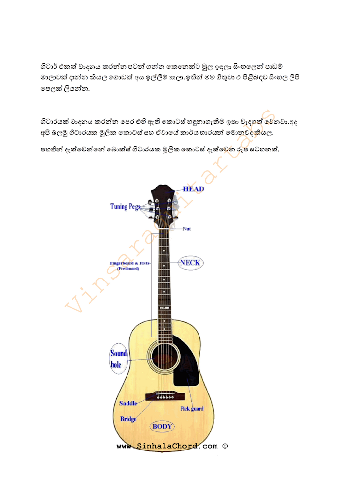 Guitar%20PArts001.png