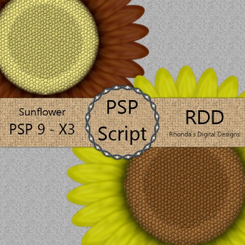 [RDD-SunflowerDisplay[3].jpg]