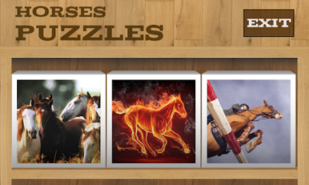 Horses Puzzles poster 2