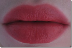 makeup lips 127