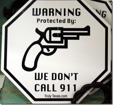 gun sticker