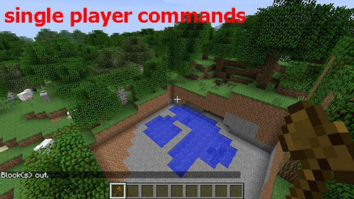 Single Player Commands MCPE