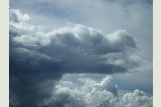 Un Dragon En Forme De Nuage La tête dans les nuages... : Gnès