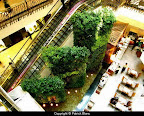 emporium_shopping_mall_bangkok_4.jpg