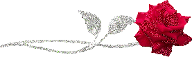 s.png