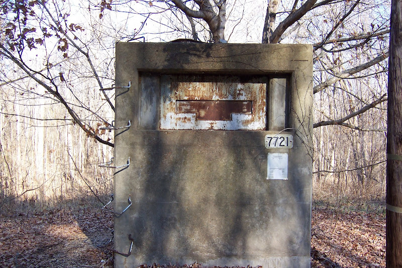 In the Garden Calling All Clarksville Base Marines and Sailors for a