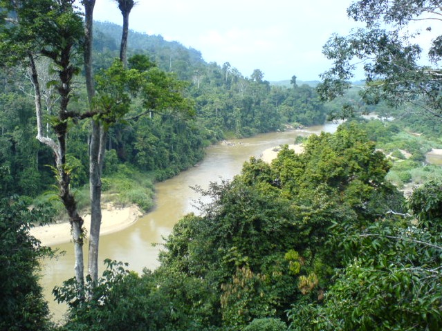 sungai pahang......
