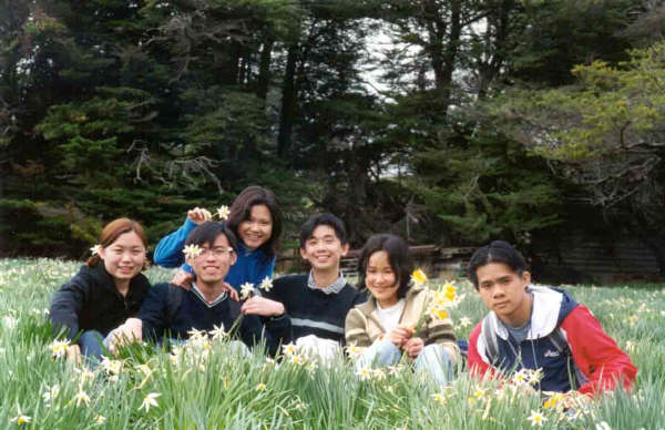 daffodil carnival