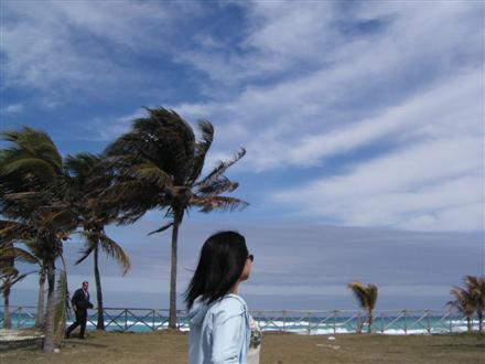 BIG WIND DAY