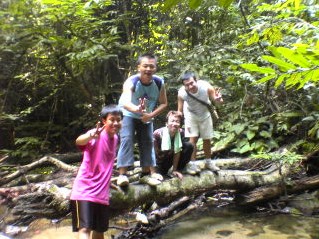 laluan hutan