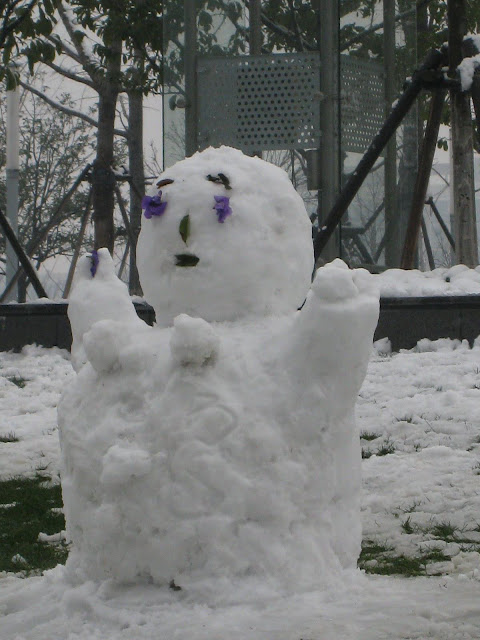 紫竹之雪 - 06