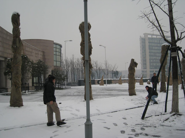 紫竹之雪 - 17