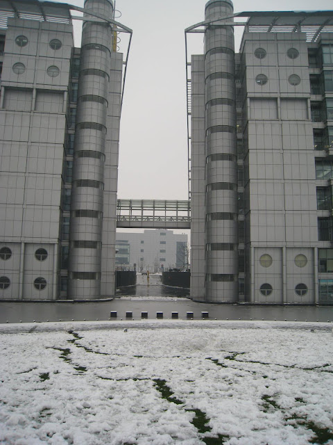 紫竹之雪 - 13
