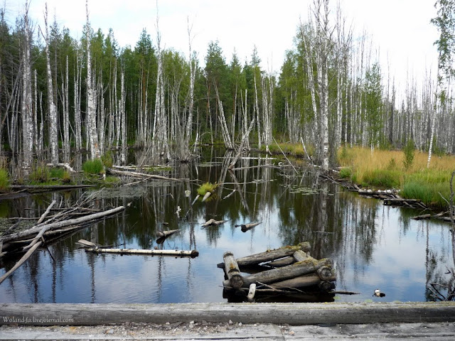 Осударева дорога. Карелия 2010. 