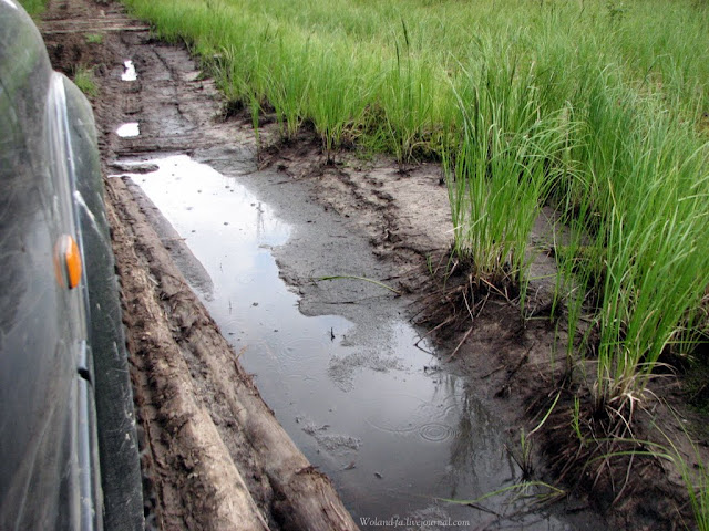 Осударева дорога. Карелия 2010. 