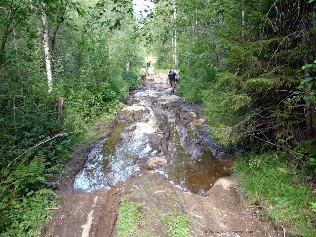 Осударева дорога. Карелия 2010. 