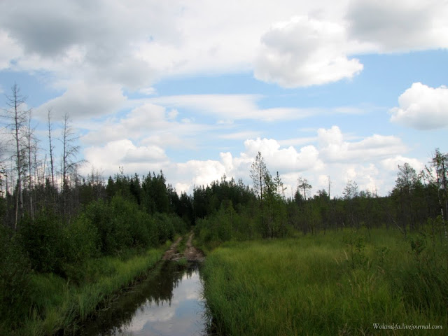 Осударева дорога. Карелия 2010. 