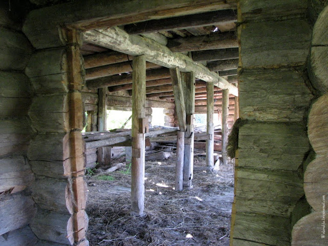 Осударева дорога. Карелия 2010. 