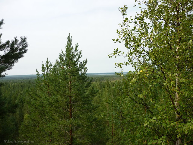 Осударева дорога. Карелия 2010. 