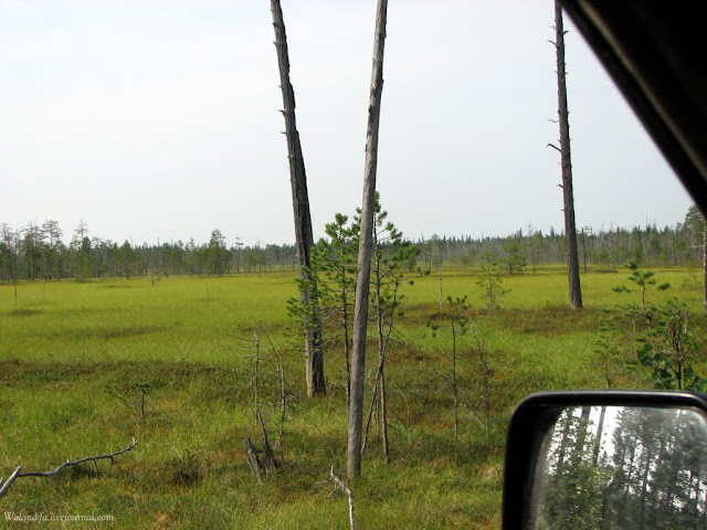 Осударева дорога. Карелия 2010. 