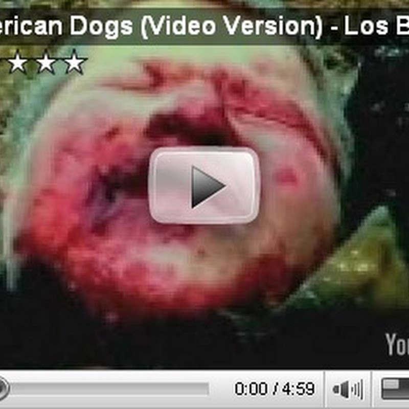 American Dogs – Los Brigantes