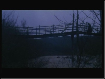 Para qué le vamos a tener miedo a los vampiros y fantasmas, cuando cruzar este puente tiene más peligro que ser doncella en Transilvania.