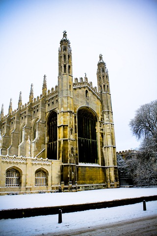 Cambridge Snow-75