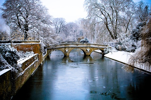 Cambridge Snow-82