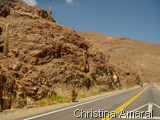 Lhamas na subida para a Salina grande, pouco antes da fronteira Argentina Chile