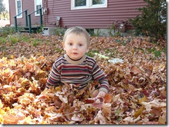 caelun in the leaves 071