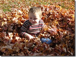 caelun in the leaves 006