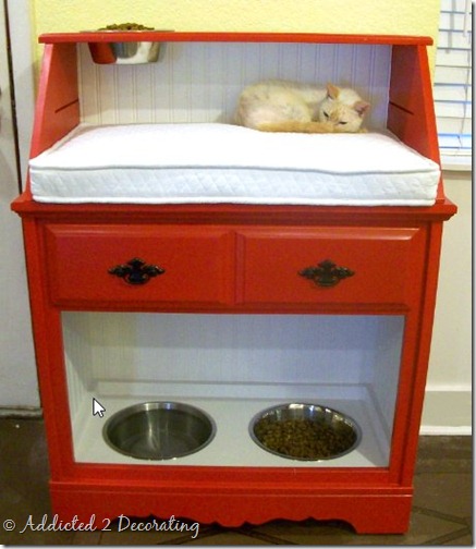 pet station red 3