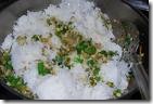 sprouts5