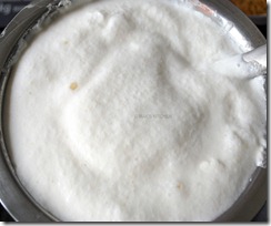fermented batter