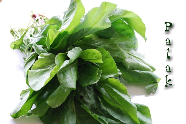 [DSC_0488copy9[3].jpg]