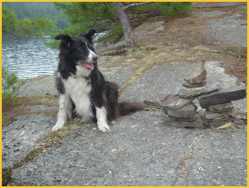 View topic - Lady Evelyn Lake-Obabika River PP (pics 