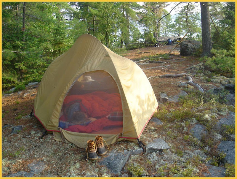 view topic - lady evelyn lake-obabika river pp pics