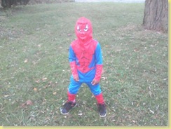 rell as spidey