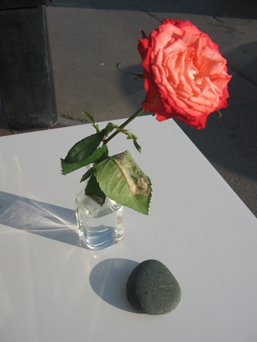 [Rose ds vase[2].jpg]