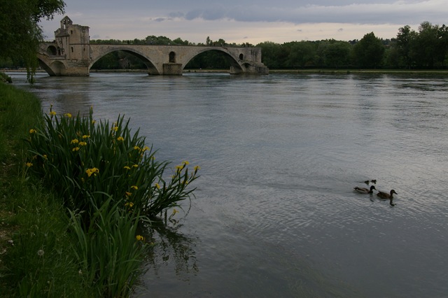 [Pont d'Avignon++[5].jpg]