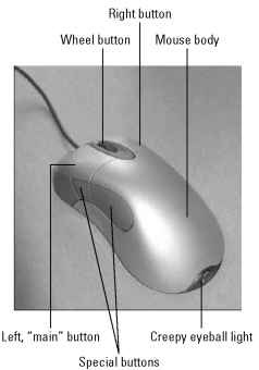 A typical computer mouse.