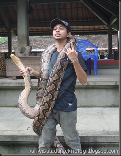 snake show 2