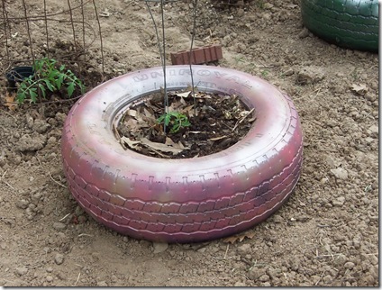 tires and garden 003
