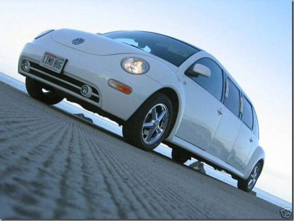 Fusca limousine (4)