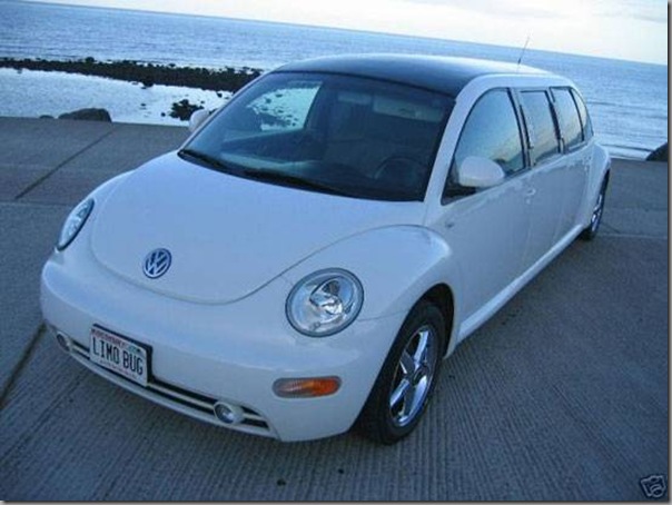 Fusca limousine (1)