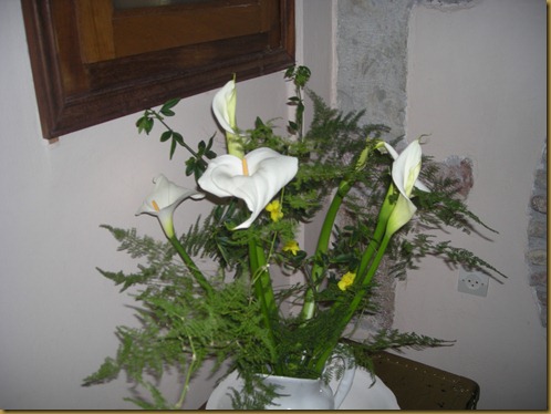 DSCN0642