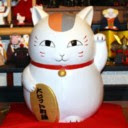 natsume.jpg